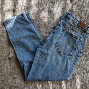 Carly Jean Los Angeles CJLA "Clark" jeans